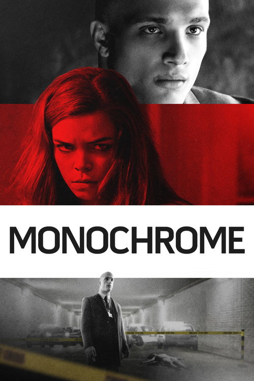 Póster de Monochrome