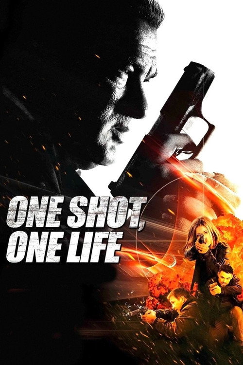 Póster de One Shot, One Life
