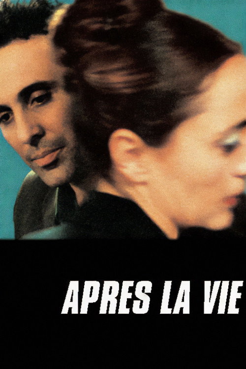 Póster de After Life