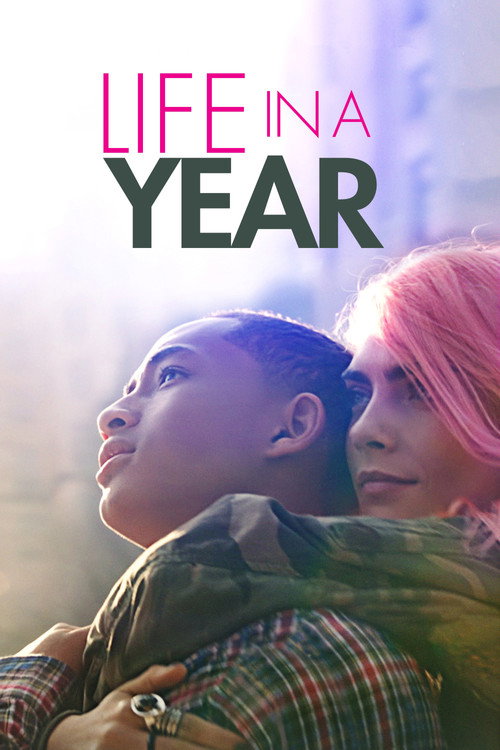 Póster de Life in a Year