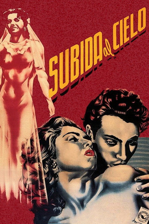 Póster de Subida al cielo