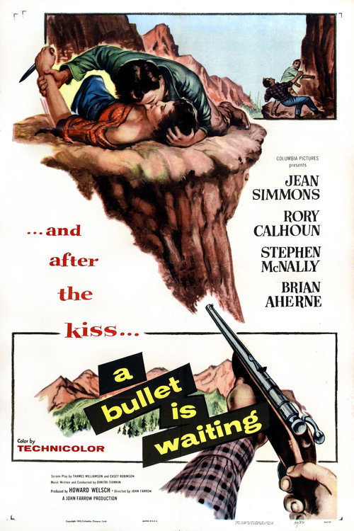 Póster de A Bullet Is Waiting