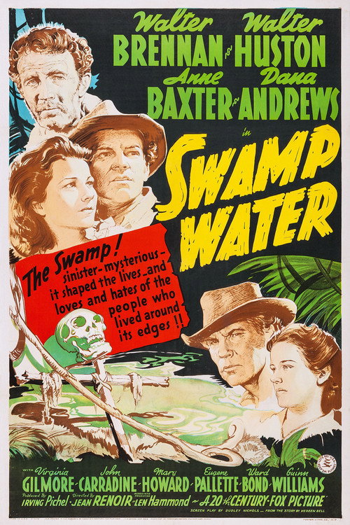 Póster de Swamp Water