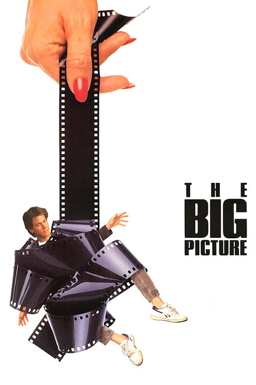 Póster de The Big Picture