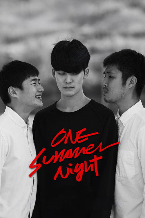 Póster de One Summer Night