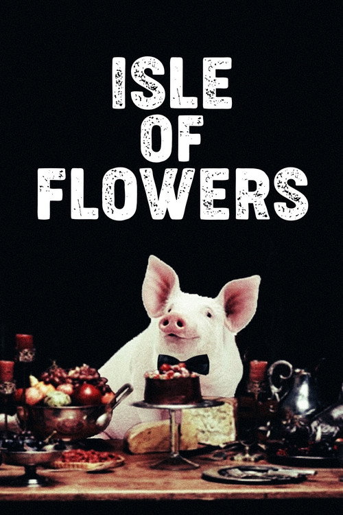 Póster de Isle of Flowers