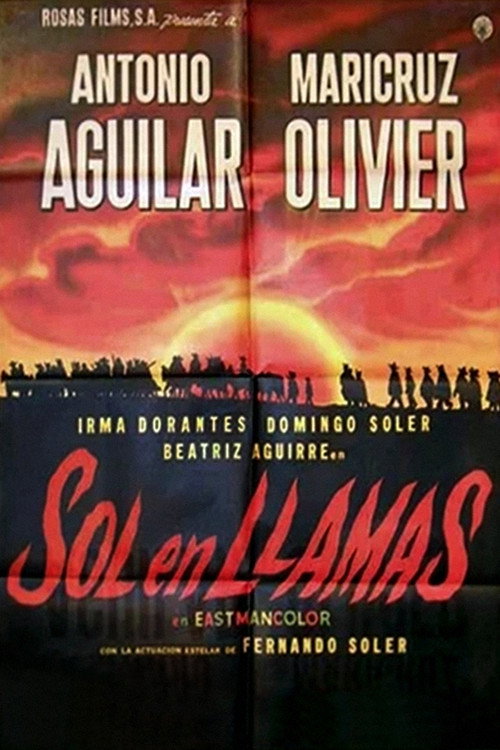 Póster de Sol en llamas