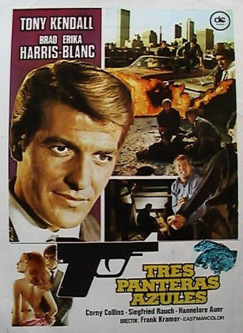 Póster de Kill, Panther, Kill!