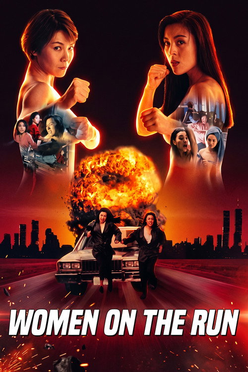 Póster de Women on the Run