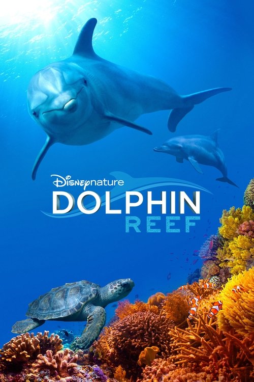 Póster de Dolphin Reef