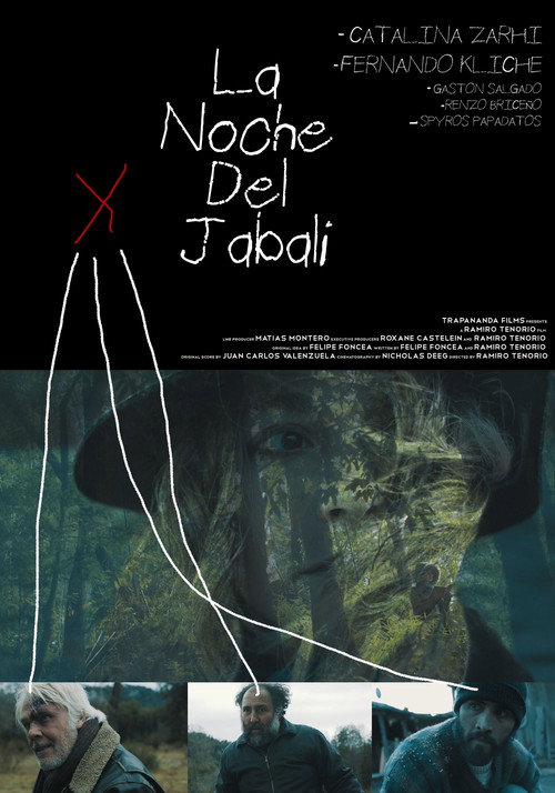 Póster de La noche del jabalí