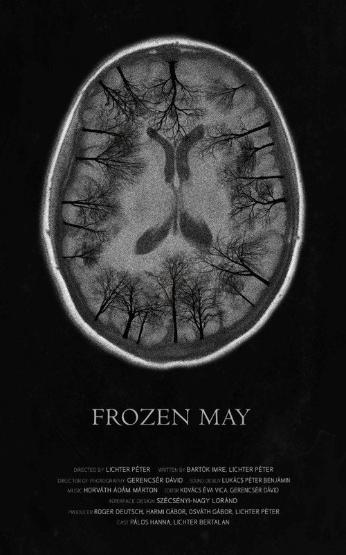 Póster de Frozen May