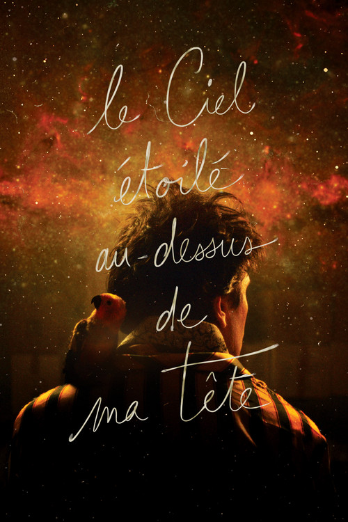Locandina di The Starry Sky Above Me