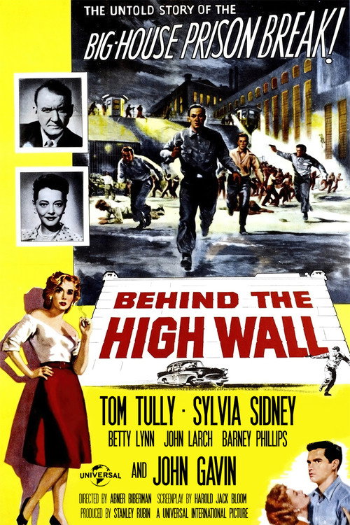 Póster de Behind the High Wall
