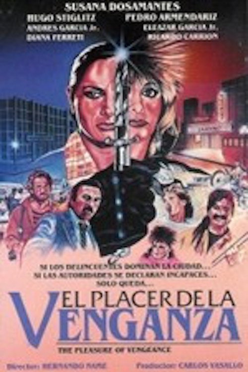 Poster of Angel in the Night