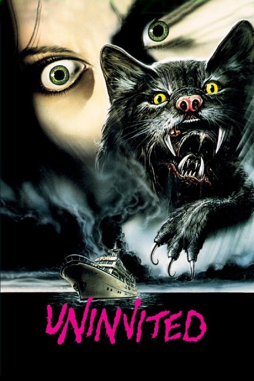 Póster de Uninvited