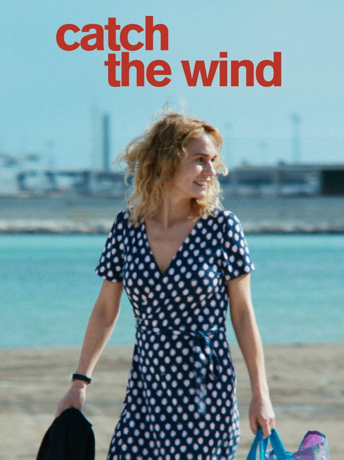 Póster de Catch the Wind