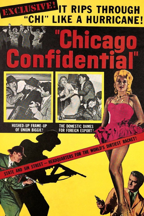 Póster de Chicago Confidential