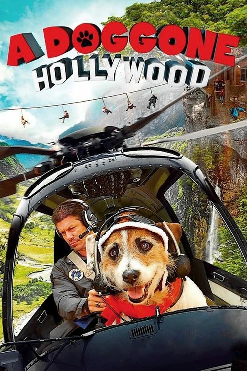 Póster de A Doggone Hollywood