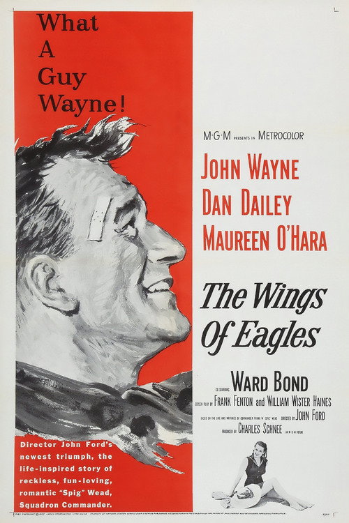 Póster de The Wings of Eagles