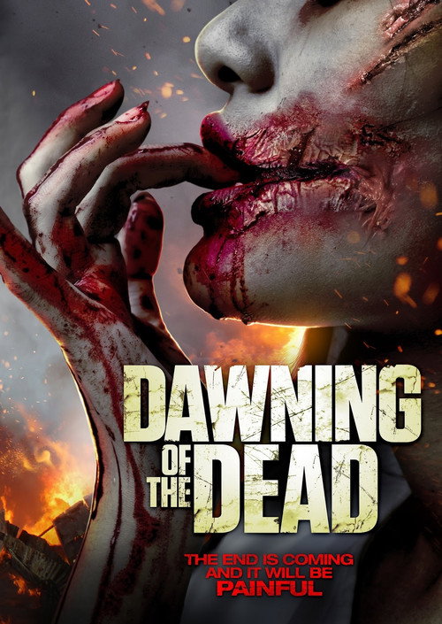 Póster de Dawning of the Dead