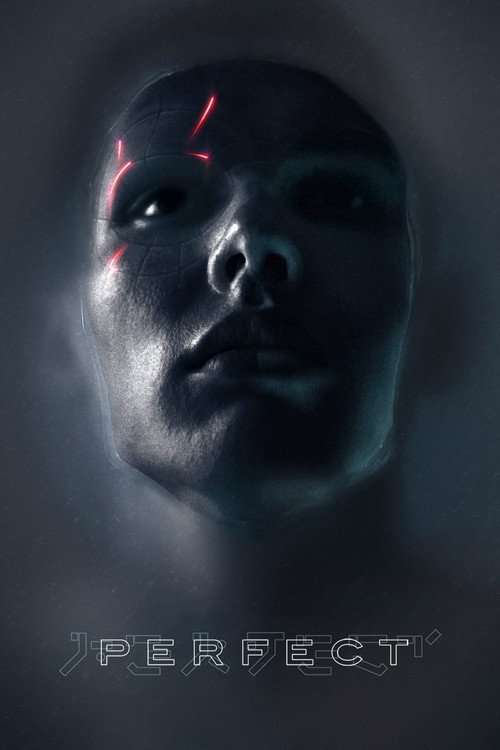 Poster von Perfect