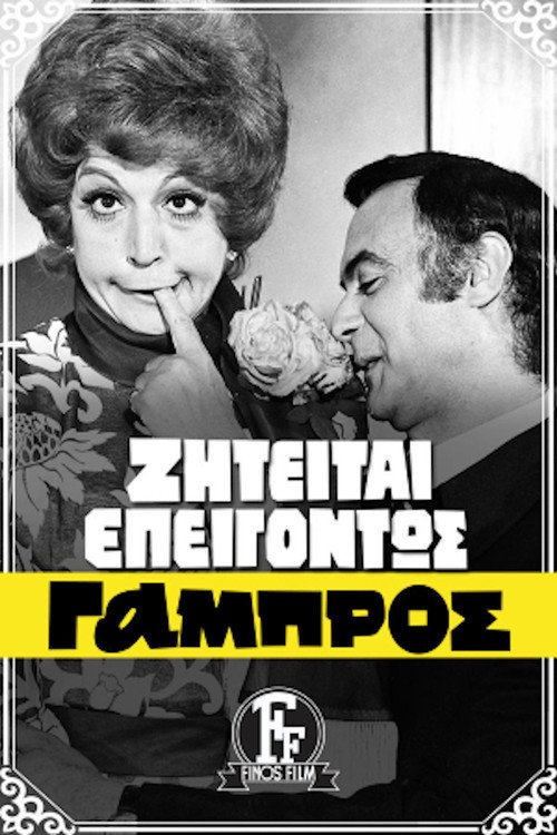 Póster de Groom Urgently Wanted