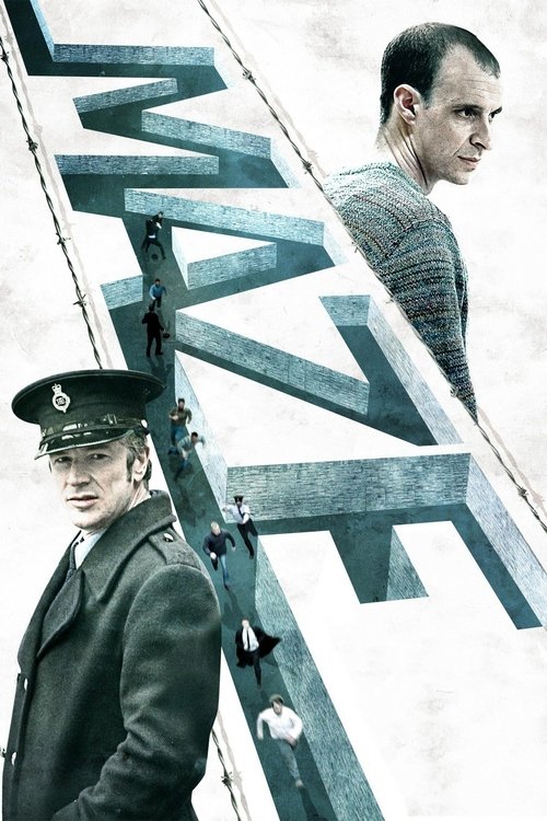 Póster de Maze