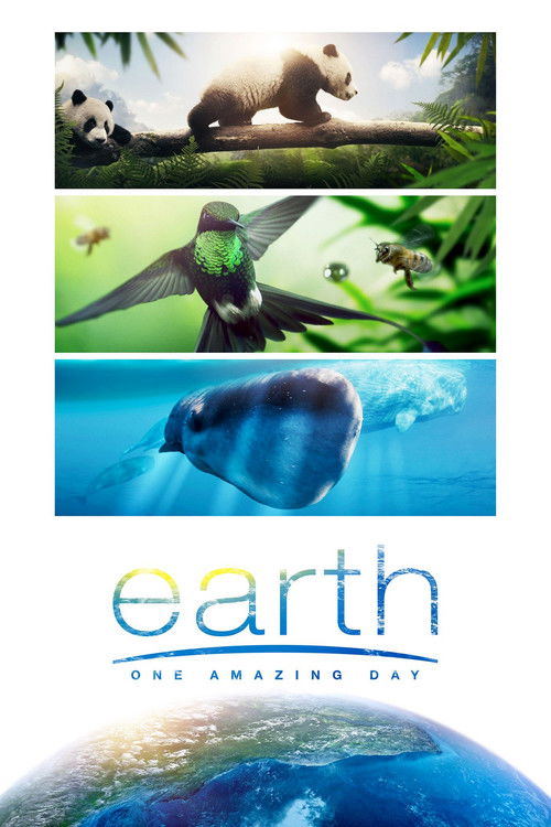 Póster de Earth: One Amazing Day
