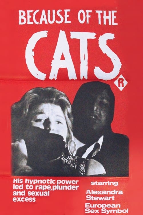 Locandina di Perché i gatti
