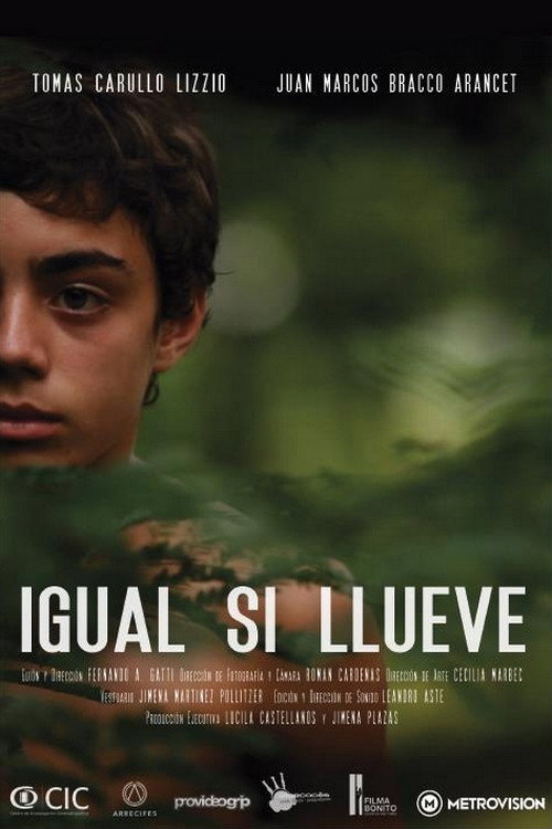 Póster de Igual si llueve