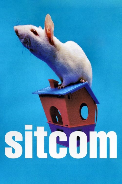 Póster de Sitcom