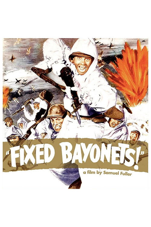 Póster de Fixed Bayonets!