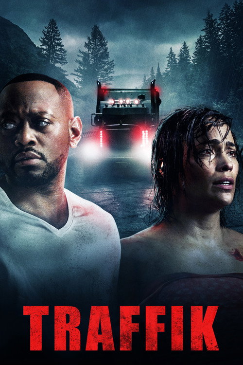 Póster de Traffik