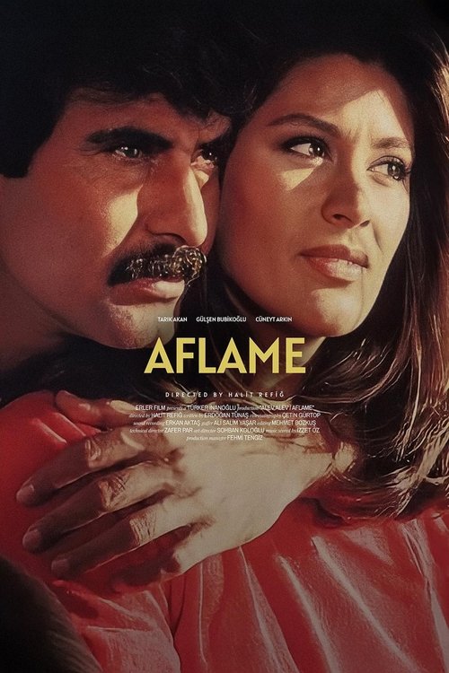 Póster de Aflame