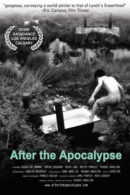 Póster de After the Apocalypse