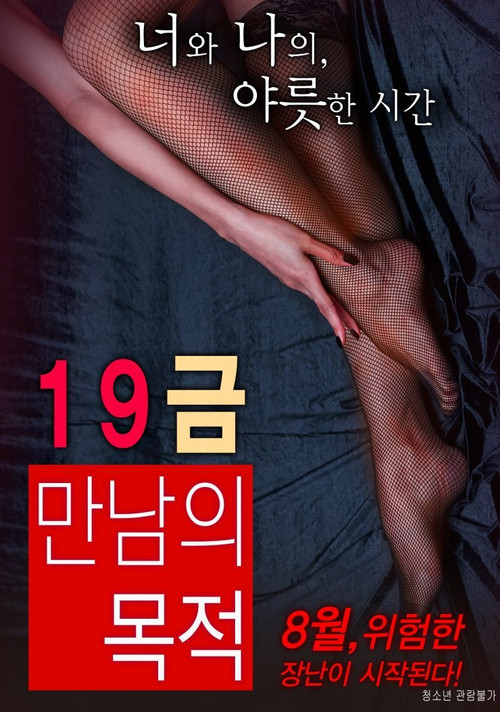 Póster de The Purpose of An X-Rated Encounter