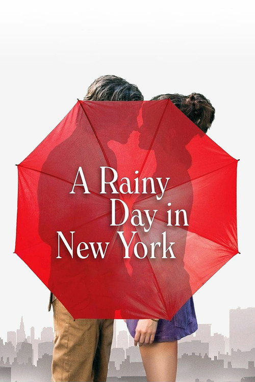 Póster de A Rainy Day in New York