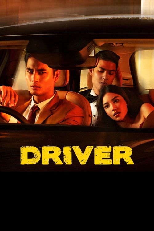 Póster de Driver