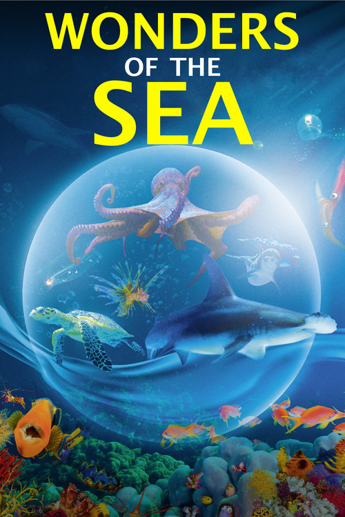 Póster de Wonders of the Sea 3D