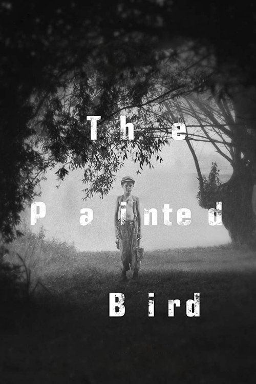 Póster de The Painted Bird