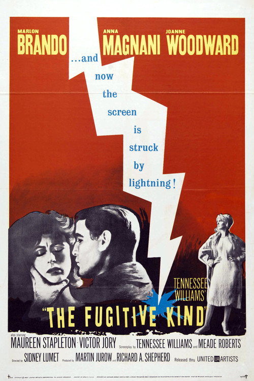 Póster de The Fugitive Kind