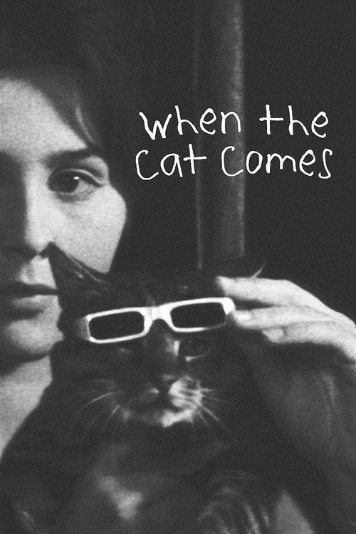 Póster de When the Cat Comes