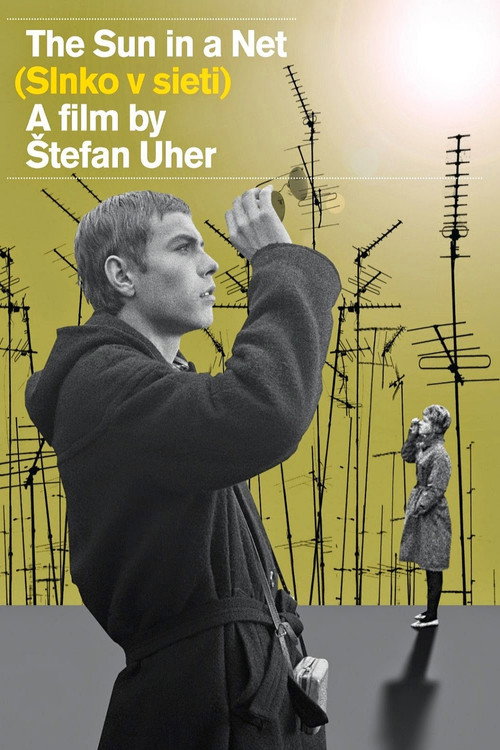 Póster de The Sun in a Net