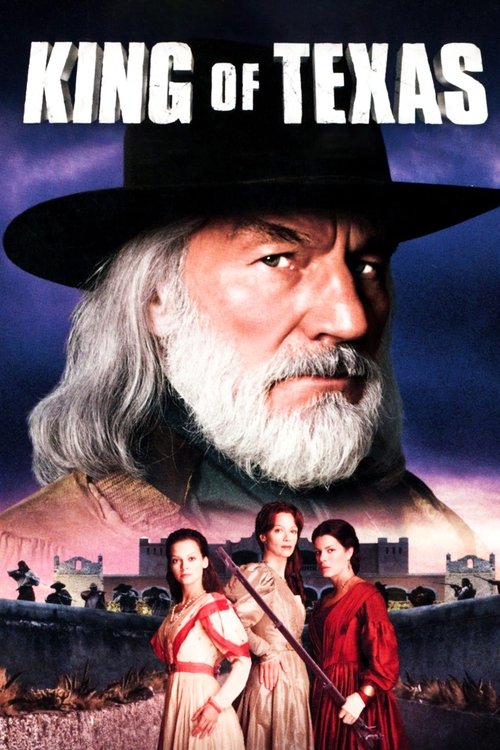 Póster de King of Texas
