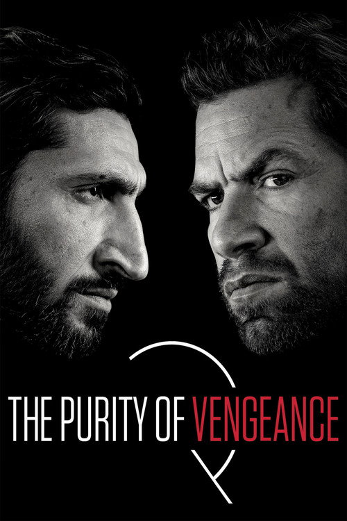 Póster de The Purity of Vengeance