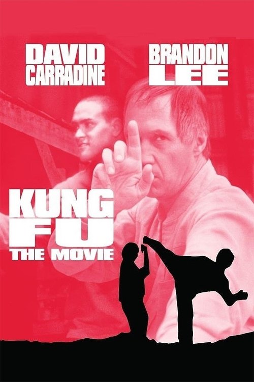 Póster de Kung Fu: The Movie