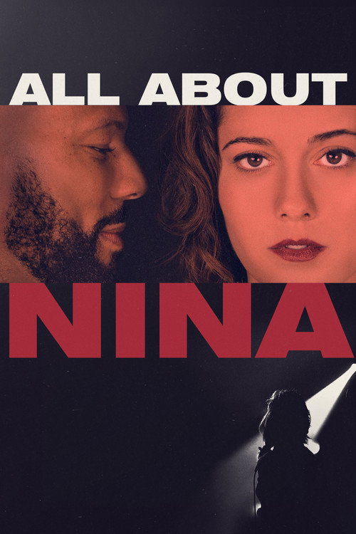 Pôster de Nina: No Palco e Na Vida