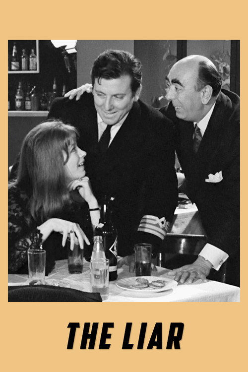 Póster de The Liar