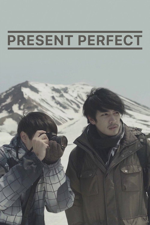 Locandina di Present Perfect